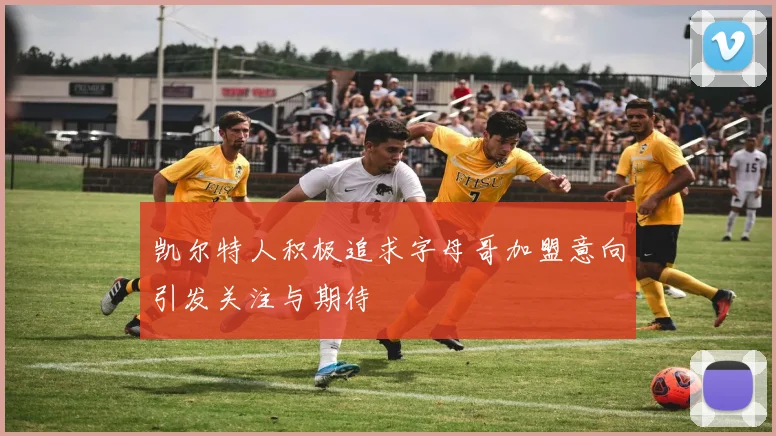 凯尔特人积极追求字母哥加盟意向引发关注与期待
